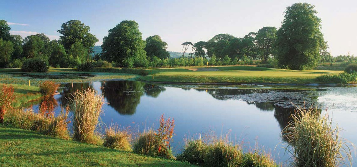 Fota Island Deerpark