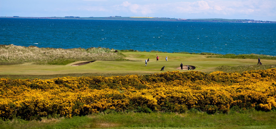 Play Royal Dornoch Championship Course, The Highlands, Scotland