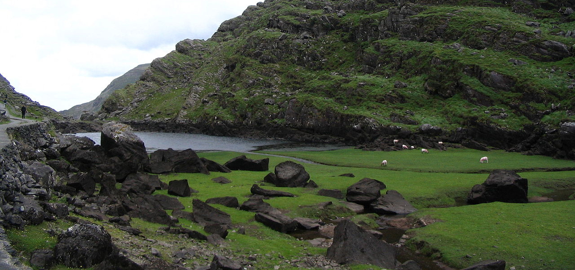 Gap of Dunloe Black Lough with Sheep